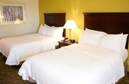 Hampton Hotel 3*